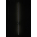 Настенный светодиодный светильник Aployt Merian APL.019.01.12