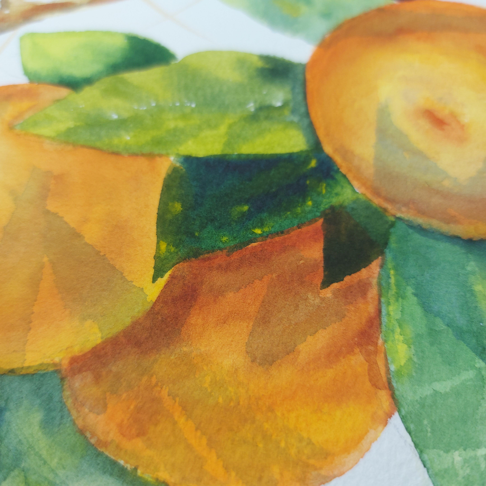 Картина авторская акварельная в паспарту 30х40 см на стену для интерьера "Мандарин"