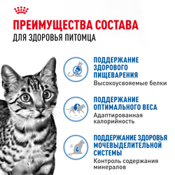Корм консервированный Royal Canin полнорационный для взрослых кастрированных и стерилизованных кошек, живущих в помещении INDOOR STERILISED (ИНДОР СТЕРИЛАЙЗД), кусочки в соусе - 85 гр