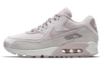 Кроссовки Nike Air Max 90 Velvet Particle Rose (Женская размерная сетка)