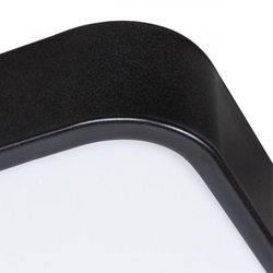 Накладной светильник Arte Lamp A2669PL-1BK