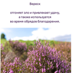 Свечи желтые/ защита и благополучие, с эфирными маслами и травами, 18х2 см