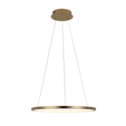 10014M Подвесной светильник LOFT IT Ring