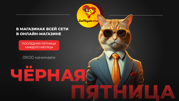 Чёрная пятница!