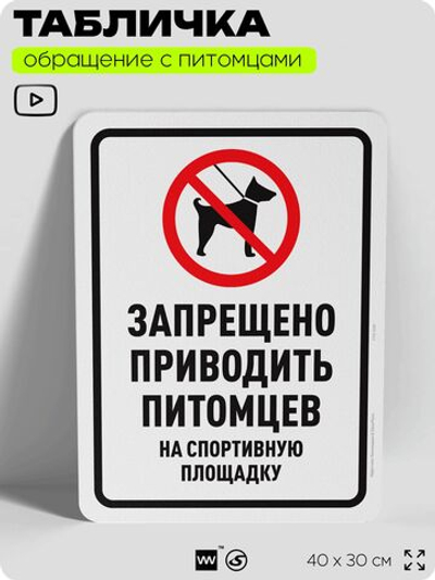 Табличка "Запрещено приводить собак на спортивную площадку" на дверь и забор, для двора, дома, подъезда, 40х30 см, Silver Plane x Айдентика Технолоджи