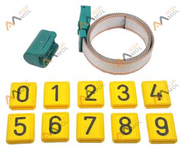 Ошейник для КРС с пластиковой пряжкой (зеленый) с номерками и чехлом респондера (Китай)