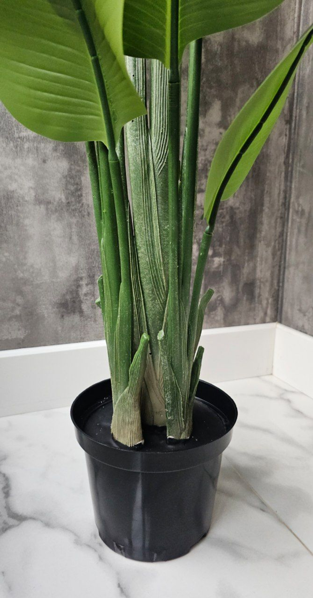 Стрелиция 180 см без кашпо / Арт 3082