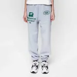 Спортивные штаны Dissident Sportive Goods серые