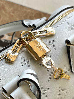 Louis Vuitton Speedy 20