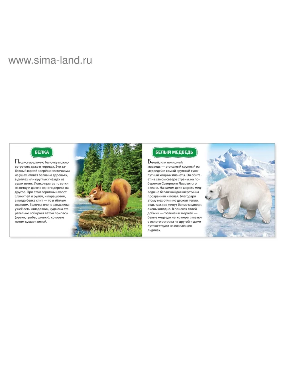 Книги для малышей Развивашки