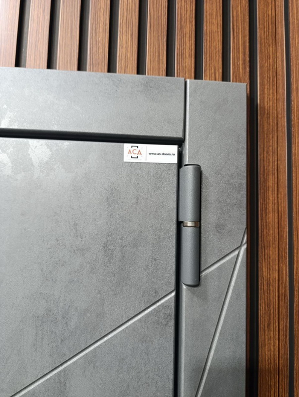 Стальная дверь "Дуэт Б" с зеркалом (биометрический замок К 06)