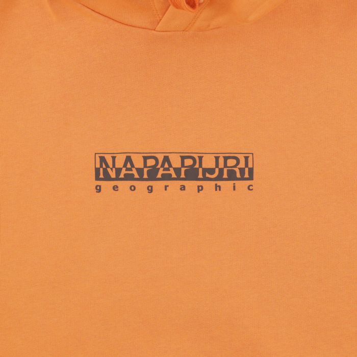 Толстовка мужская Napapijri B-Box Hoodie артикул:NA4GBEAA3 - купить в магазине Дайс