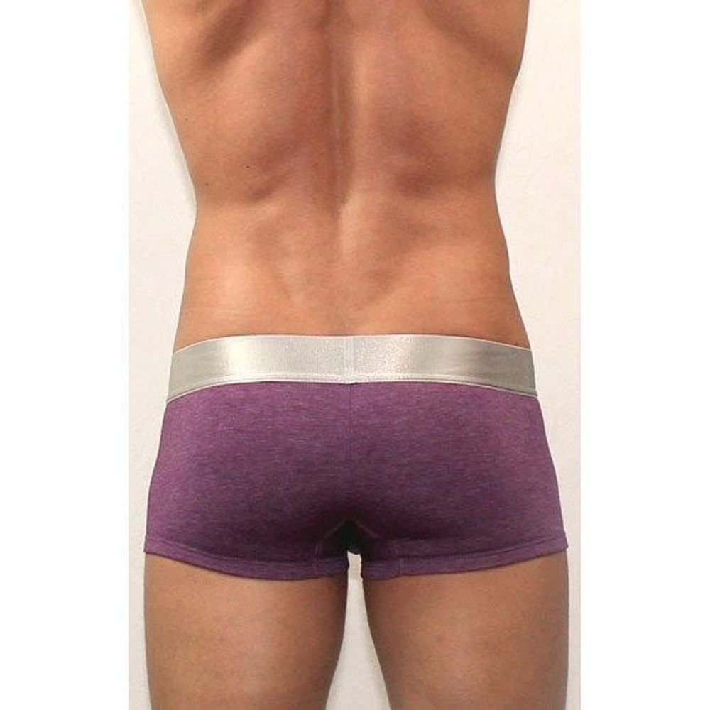 Мужские трусы боксеры фиолетовые Calvin Klein Steel Purple CK01115
