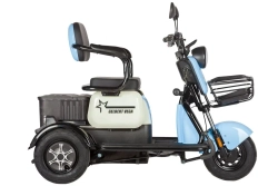 Электротрицикл Gelbert Vega 48V/60V 600Вт