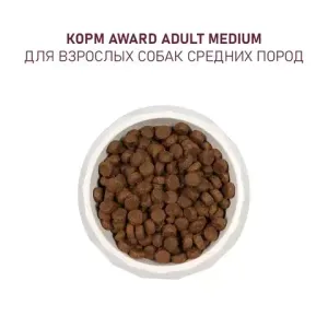 Уценка! Срок 06.2025/ Сухой корм AWARD для взрослых собак средних пород с индейкой и курицей с добавлением моркови и черной смородины