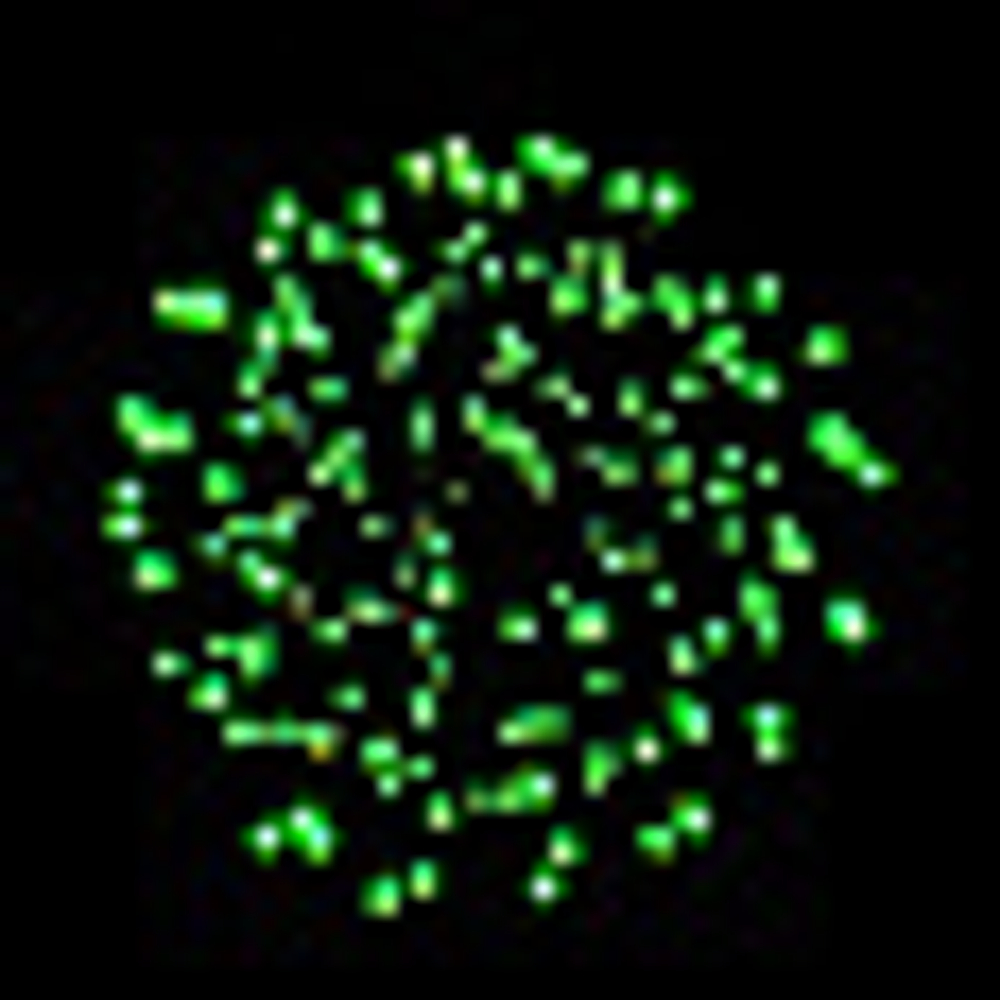 Батарея салютов "Лезгинка" (1 х 49)