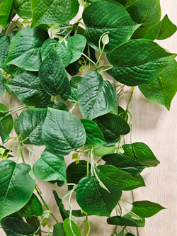 Искусственный Филодендрон крупнолистный 110см