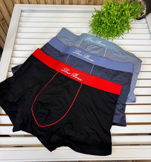 Боксеры Loro Piana