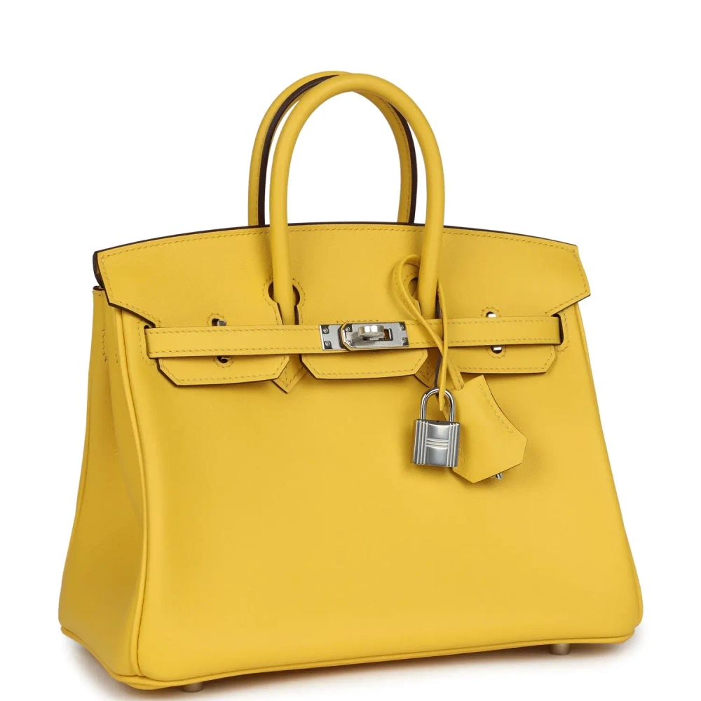 Оригинальная женская сумка из коллекции B с палладиевой фурнитурой Hermès Birkin