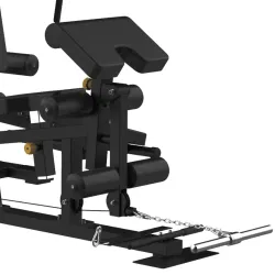 Мультистанция BRONZE GYM EVOLVE TripleX