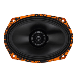 DL Audio Gryphon Lite 69 V.2 Эстрадная акустика 15х23 см. (6х9")