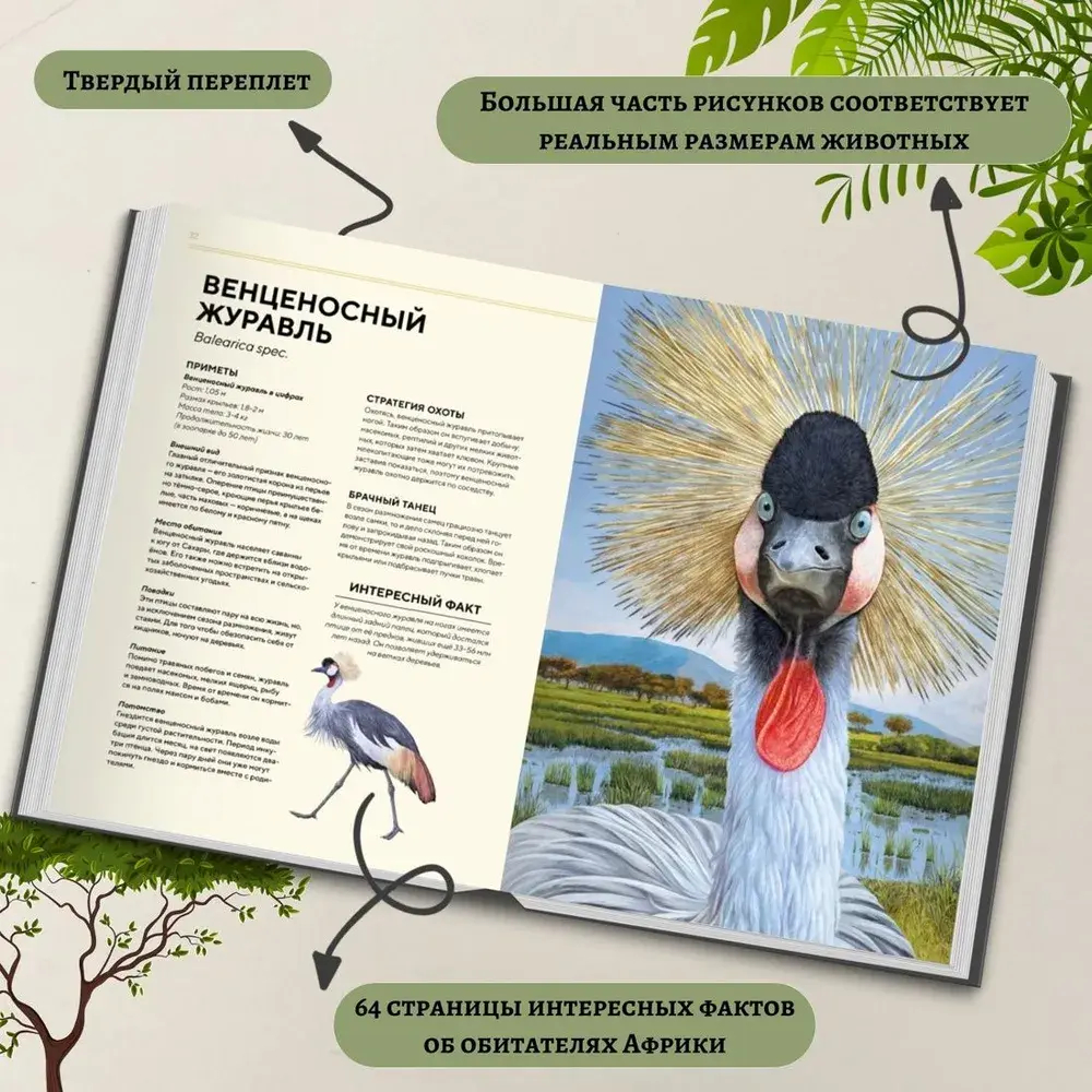 Животные Африки в натуральную величину