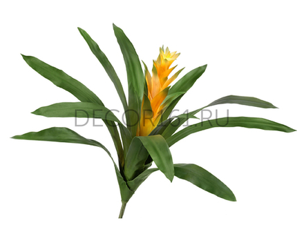 Гусмания Кардинал жёлтая в-37, д-52 см (Sensitive Botanic) 4/4 20.0615192YL
