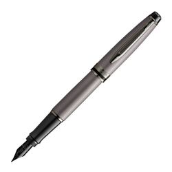 Перьевая ручка Waterman Expert DeLuxe Metallic Silver RT (2119253)