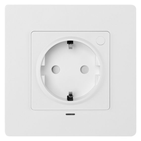 Розетка умная встраиваемая HOMMYN zigbee RKNWOZ01W купить в Москве и Московской области по низкой цене с доставкой по России — (3) Розетка умная встраиваемая HOMMYN zigbee RKNWOZ01W — (3)