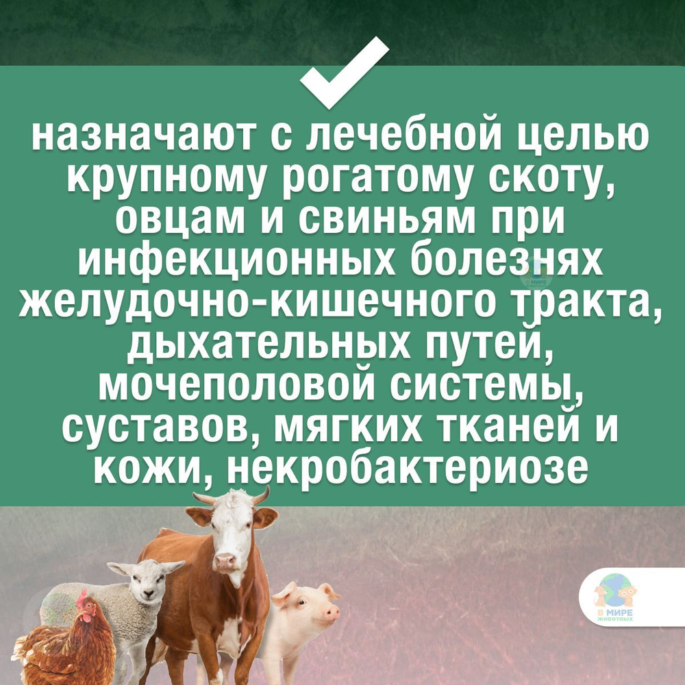 Раствор антибактериальный Амоксисан Apicenna, для инъекций животным, 100 мл. Амоксициллин.