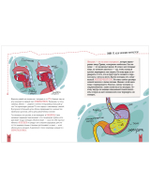 Этому в школе не научат! Реальная биология. Как устроено тело человека
