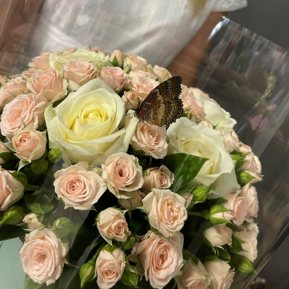 Живые бабочки с розами