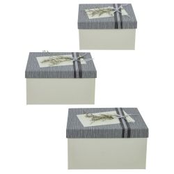 GAEM Набор из 3-х коробок подарочных, L19 W26 H15 см, 2в.