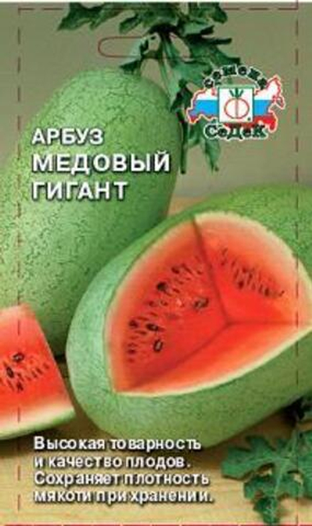 Арбуз Медовый гигант Седек