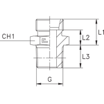 Штуцер ввертной BSPT 1/4" DL06 уплотнение C (корпус)