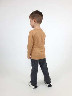 4-117-5 Джемпер для мальчика