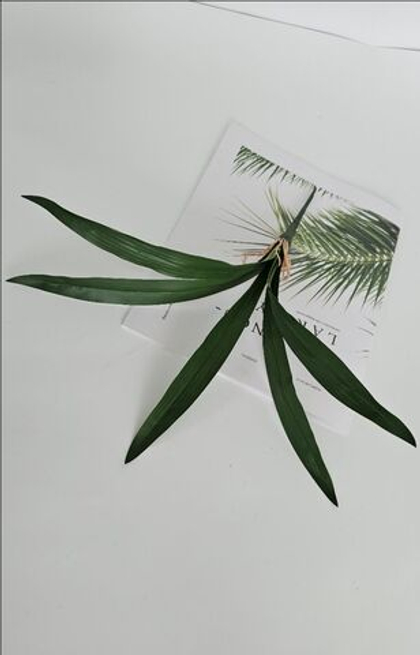 Листья орхидеи / Арт 7035