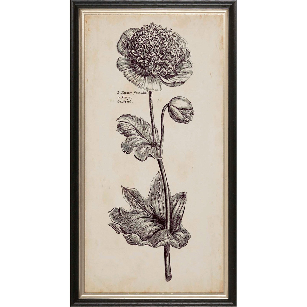 Постер 30х60 G&C Beauty 3