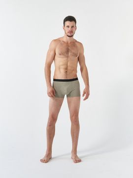 Набор мужских боксеров TMS3-1795/5