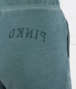 Шорты SBRISOLONA Pinko - бирюзовый(104284 A266)