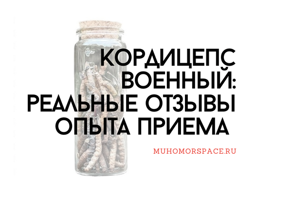 Кордицепс военный: реальные отзывы опыта приема