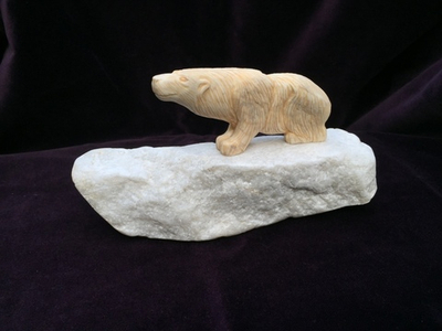 Белый медведь