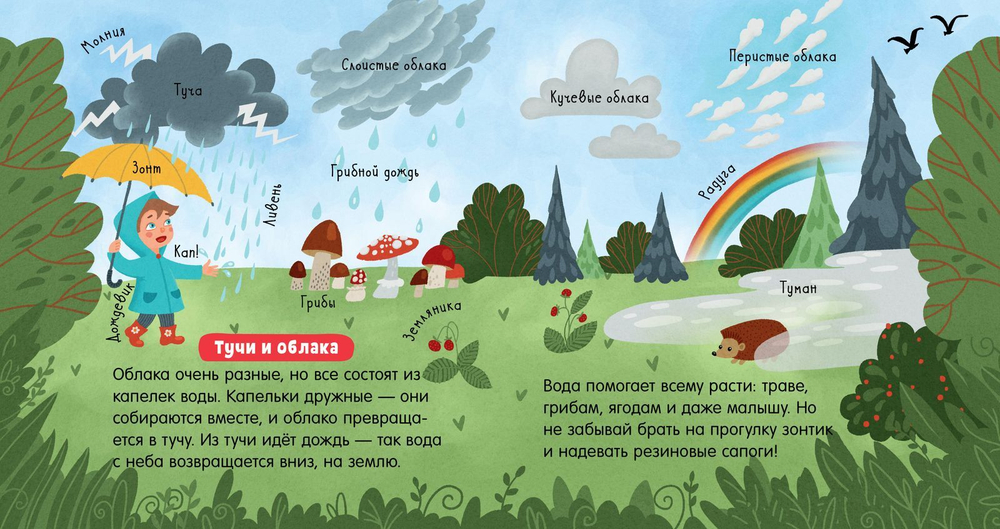Наука для малышей. Вода.