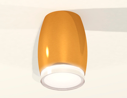 Накладной светильник Ambrella Light Techno XS1125021 (C1125, N7160)