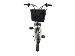 Электровелосипед Green Camel Транк-18 V2 (R18 250W)