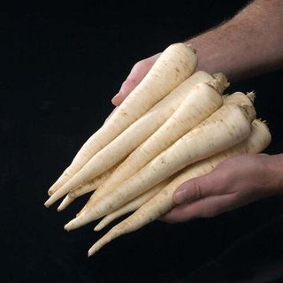 Петрушка корневая Игл 50гр