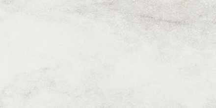 Керамогранит ORANGERIE TORLONIA NAT.RET. (132324)