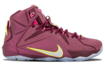 Кроссовки Nike Lebron 12 Double Helix