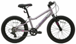 Детский велосипед Maxiscoo 5Bike 20'' Girl (2024)