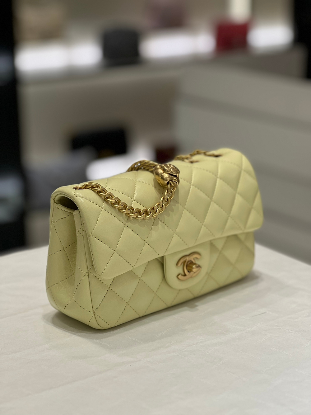 Chane1 Flap Bag 20 cm